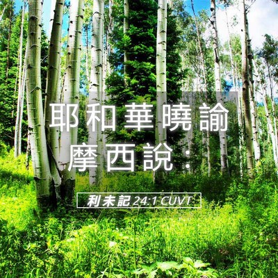 Picture 05 - 利 未 記 24:1 CUVT - 耶 和 華 曉 諭 摩 西 說 - Bible Verse Picture