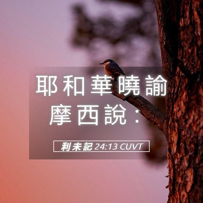 Picture 05 - 利 未 記 24:13 CUVT - 耶 和 華 曉 諭 摩 西 說 - Bible Verse Picture
