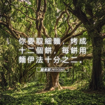 Picture 05 - 利 未 記 24:5 CUVT - 你 要 取 細 麵 ， 烤 成 十 二 個 餅 - Bible Verse Picture