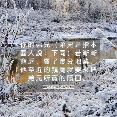 Picture 05 - 利 未 記 25:25 CUVT - 你 的 弟 兄 （ 弟 兄 是 指 本 國 人 - Bible Verse Picture