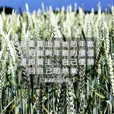 Picture 05 - 利 未 記 25:27 CUVT - 就 要 算 出 賣 地 的 年 數 ， 把 餘 - Bible Verse Picture