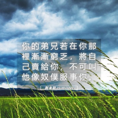 Picture 05 - 利 未 記 25:39 CUVT - 你 的 弟 兄 若 在 你 那 裡 漸 漸 窮 - Bible Verse Picture