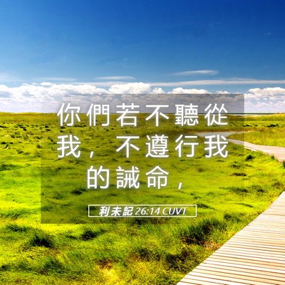 Picture 05 - 利 未 記 26:14 CUVT - 你 們 若 不 聽 從 我 ， 不 遵 行 我 - Bible Verse Picture