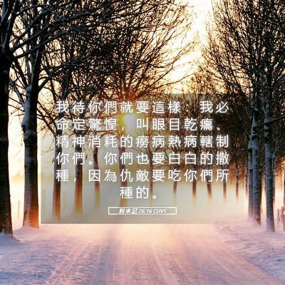 Picture 05 - 利 未 記 26:16 CUVT - 我 待 你 們 就 要 這 樣 ： 我 必 命 - Bible Verse Picture