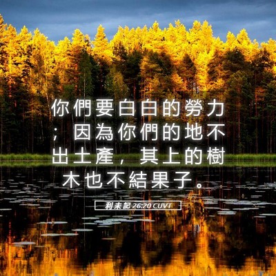 Picture 05 - 利 未 記 26:20 CUVT - 你 們 要 白 白 的 勞 力 ； 因 為 你 - Bible Verse Picture