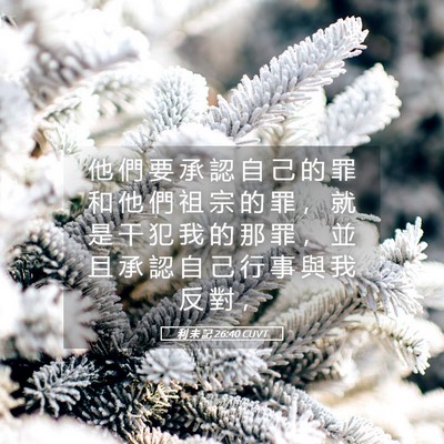 Picture 05 - 利 未 記 26:40 CUVT - 他 們 要 承 認 自 己 的 罪 和 他 們 - Bible Verse Picture