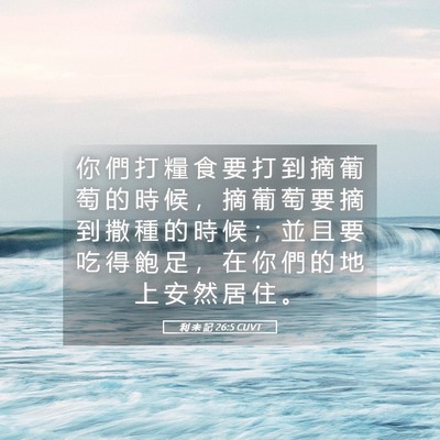 Picture 05 - 利 未 記 26:5 CUVT - 你 們 打 糧 食 要 打 到 摘 葡 萄 的 - Bible Verse Picture