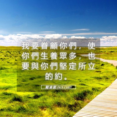 Picture 05 - 利 未 記 26:9 CUVT - 我 要 眷 顧 你 們 ， 使 你 們 生 養 - Bible Verse Picture