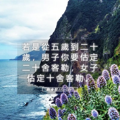Picture 05 - 利 未 記 27:5 CUVT - 若 是 從 五 歲 到 二 十 歲 ， 男 子 - Bible Verse Picture