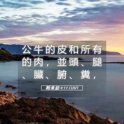 Picture 05 - 利 未 記 4:11 CUVT - 公 牛 的 皮 和 所 有 的 肉 ， 並 頭 - Bible Verse Picture