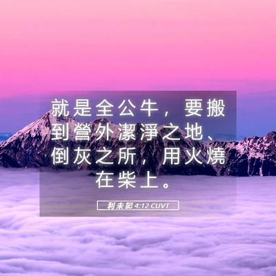 Picture 05 - 利 未 記 4:12 CUVT - 就 是 全 公 牛 ， 要 搬 到 營 外 潔 - Bible Verse Picture