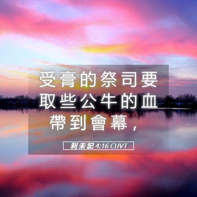 Picture 05 - 利 未 記 4:16 CUVT - 受 膏 的 祭 司 要 取 些 公 牛 的 血 - Bible Verse Picture
