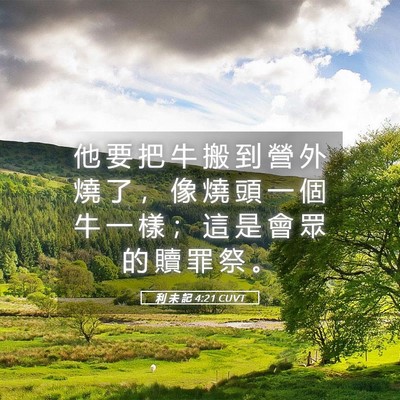 Picture 05 - 利 未 記 4:21 CUVT - 他 要 把 牛 搬 到 營 外 燒 了 ， 像 - Bible Verse Picture