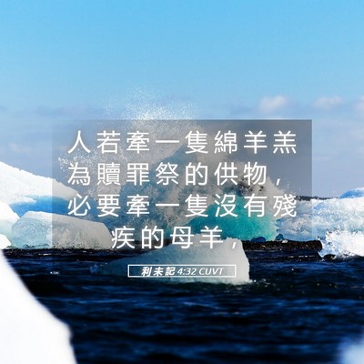 Picture 05 - 利 未 記 4:32 CUVT - 人 若 牽 一 隻 綿 羊 羔 為 贖 罪 祭 - Bible Verse Picture
