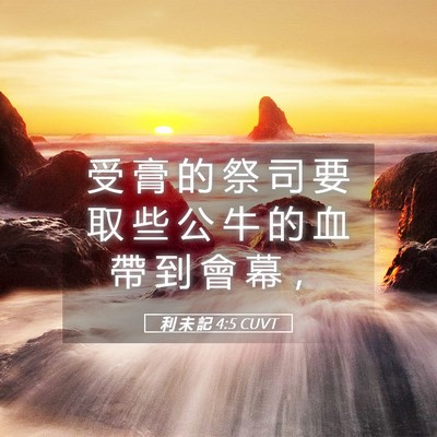 Picture 05 - 利 未 記 4:5 CUVT - 受 膏 的 祭 司 要 取 些 公 牛 的 血 - Bible Verse Picture