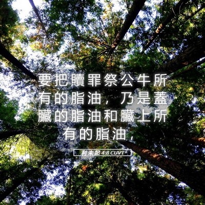 Picture 05 - 利 未 記 4:8 CUVT - 要 把 贖 罪 祭 公 牛 所 有 的 脂 油 - Bible Verse Picture