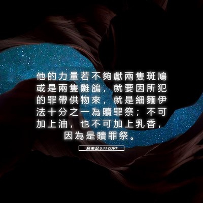 Picture 05 - 利 未 記 5:11 CUVT - 他 的 力 量 若 不 夠 獻 兩 隻 斑 鳩 - Bible Verse Picture