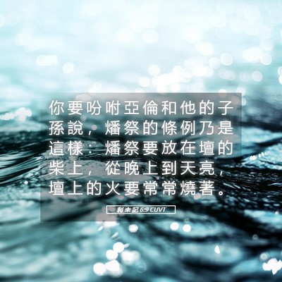 Picture 05 - 利 未 記 6:9 CUVT - 你 要 吩 咐 亞 倫 和 他 的 子 孫 說 - Bible Verse Picture