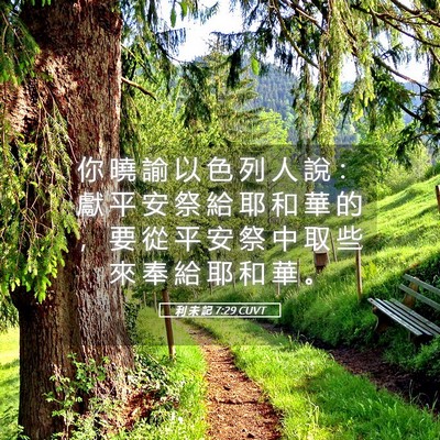 Picture 05 - 利 未 記 7:29 CUVT - 你 曉 諭 以 色 列 人 說 ： 獻 平 安 - Bible Verse Picture