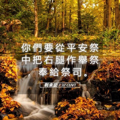 Picture 05 - 利 未 記 7:32 CUVT - 你 們 要 從 平 安 祭 中 把 右 腿 作 - Bible Verse Picture