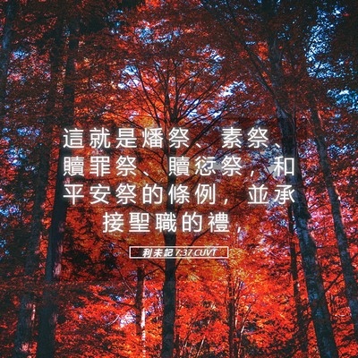 Picture 05 - 利 未 記 7:37 CUVT - 這 就 是 燔 祭 、 素 祭 、 贖 罪 祭 - Bible Verse Picture
