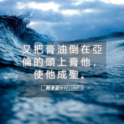 Picture 05 - 利 未 記 8:12 CUVT - 又 把 膏 油 倒 在 亞 倫 的 頭 上 膏 - Bible Verse Picture