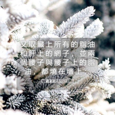 Picture 05 - 利 未 記 8:16 CUVT - 又 取 臟 上 所 有 的 脂 油 和 肝 上 - Bible Verse Picture