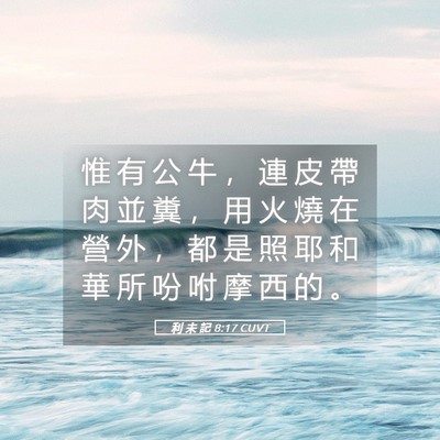 Picture 05 - 利 未 記 8:17 CUVT - 惟 有 公 牛 ， 連 皮 帶 肉 並 糞 ， - Bible Verse Picture