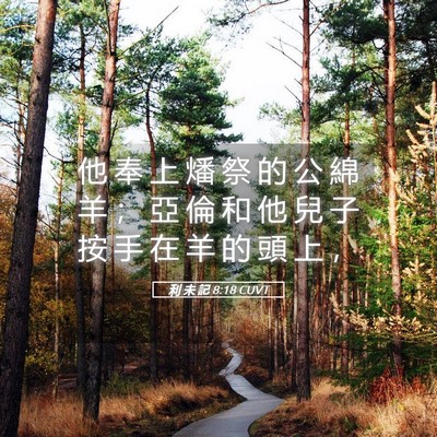 Picture 05 - 利 未 記 8:18 CUVT - 他 奉 上 燔 祭 的 公 綿 羊 ； 亞 倫 - Bible Verse Picture