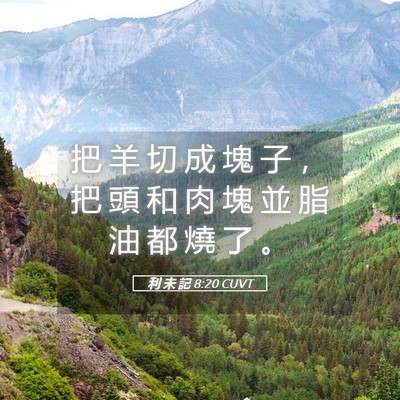Picture 05 - 利 未 記 8:20 CUVT - 把 羊 切 成 塊 子 ， 把 頭 和 肉 塊 - Bible Verse Picture