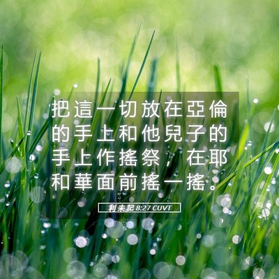 Picture 05 - 利 未 記 8:27 CUVT - 把 這 一 切 放 在 亞 倫 的 手 上 和 - Bible Verse Picture