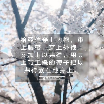 Picture 05 - 利 未 記 8:7 CUVT - 給 亞 倫 穿 上 內 袍 ， 束 上 腰 帶 - Bible Verse Picture