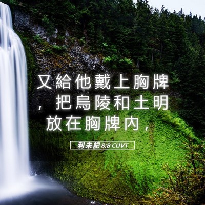 Picture 05 - 利 未 記 8:8 CUVT - 又 給 他 戴 上 胸 牌 ， 把 烏 陵 和 - Bible Verse Picture