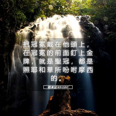 Picture 05 - 利 未 記 8:9 CUVT - 把 冠 冕 戴 在 他 頭 上 ， 在 冠 冕 - Bible Verse Picture