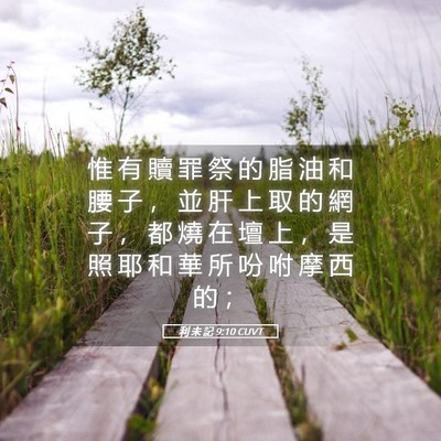 Picture 05 - 利 未 記 9:10 CUVT - 惟 有 贖 罪 祭 的 脂 油 和 腰 子 ， - Bible Verse Picture