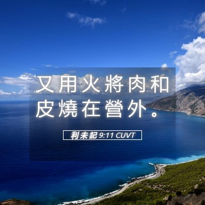 Picture 05 - 利 未 記 9:11 CUVT - 又 用 火 將 肉 和 皮 燒 在 營 外 - Bible Verse Picture