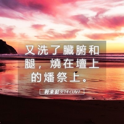 Picture 05 - 利 未 記 9:14 CUVT - 又 洗 了 臟 腑 和 腿 ， 燒 在 壇 上 - Bible Verse Picture
