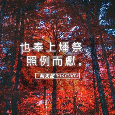 Picture 05 - 利 未 記 9:16 CUVT - 也 奉 上 燔 祭 ， 照 例 而 獻 - Bible Verse Picture