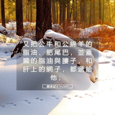 Picture 05 - 利 未 記 9:19 CUVT - 又 把 公 牛 和 公 綿 羊 的 脂 油 、 - Bible Verse Picture