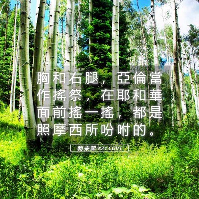 Picture 05 - 利 未 記 9:21 CUVT - 胸 和 右 腿 ， 亞 倫 當 作 搖 祭 ， - Bible Verse Picture