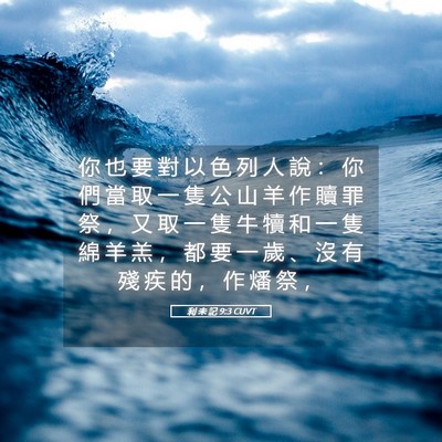 Picture 05 - 利 未 記 9:3 CUVT - 你 也 要 對 以 色 列 人 說 ： 你 們 - Bible Verse Picture