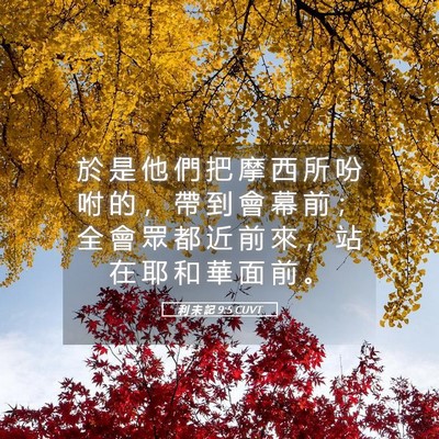 Picture 05 - 利 未 記 9:5 CUVT - 於 是 他 們 把 摩 西 所 吩 咐 的 ， - Bible Verse Picture