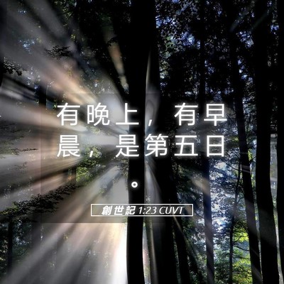 Picture 05 - 創 世 記 1:23 CUVT - 有 晚 上 ， 有 早 晨 ， 是 第 五 日 - Bible Verse Picture