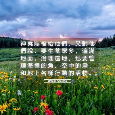Picture 05 - 創 世 記 1:28 CUVT - 神 就 賜 福 給 他 們 ， 又 對 他 們 - Bible Verse Picture