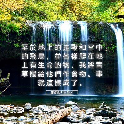 Picture 05 - 創 世 記 1:30 CUVT - 至 於 地 上 的 走 獸 和 空 中 的 飛 - Bible Verse Picture