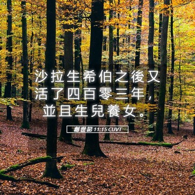 Picture 05 - 創 世 記 11:15 CUVT - 沙 拉 生 希 伯 之 後 又 活 了 四 百 - Bible Verse Picture