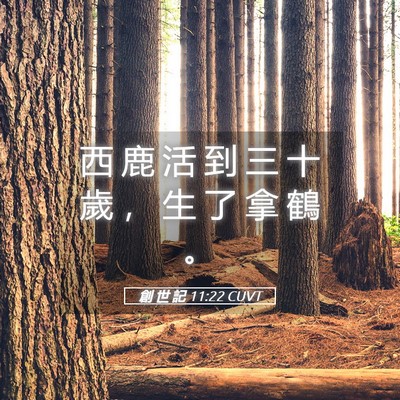 Picture 05 - 創 世 記 11:22 CUVT - 西 鹿 活 到 三 十 歲 ， 生 了 拿 鶴 - Bible Verse Picture