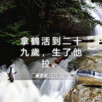 Picture 05 - 創 世 記 11:24 CUVT - 拿 鶴 活 到 二 十 九 歲 ， 生 了 他 - Bible Verse Picture