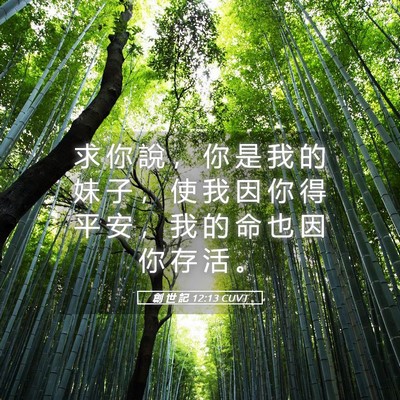 Picture 05 - 創 世 記 12:13 CUVT - 求 你 說 ， 你 是 我 的 妹 子 ， 使 - Bible Verse Picture
