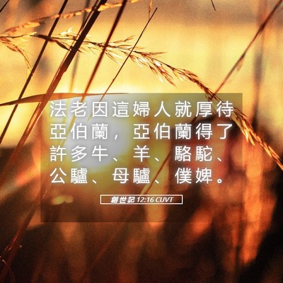 Picture 05 - 創 世 記 12:16 CUVT - 法 老 因 這 婦 人 就 厚 待 亞 伯 蘭 - Bible Verse Picture
